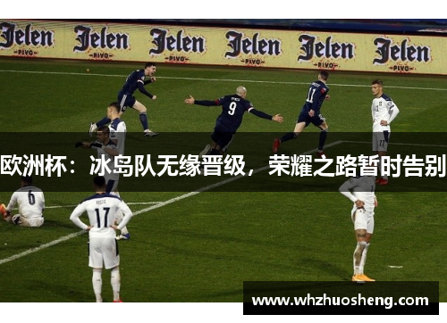 欧洲杯：冰岛队无缘晋级，荣耀之路暂时告别