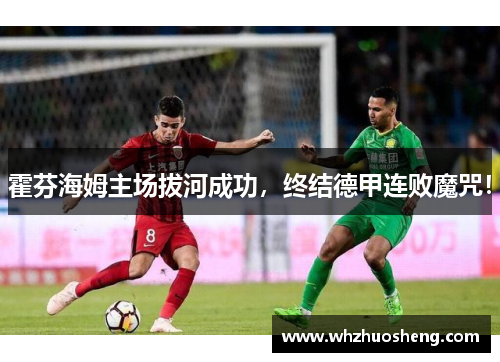 霍芬海姆主场拔河成功，终结德甲连败魔咒！
