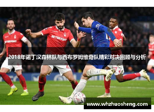 2018年诺丁汉森林队与西布罗姆维奇队精彩对决回顾与分析